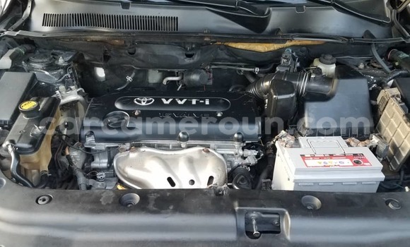 Acheter Occasion Voiture Toyota RAV4 Beige à Douala, Littoral Cameroon Acheter Occasion Voiture Toyota RAV4 Beige à Douala, Littoral Cameroon