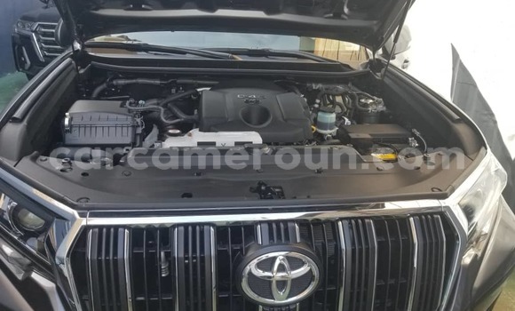 Acheter Neuf Voiture Toyota Prado Gris à Douala, Littoral Cameroon Acheter Neuf Voiture Toyota Prado Gris à Douala, Littoral Cameroon