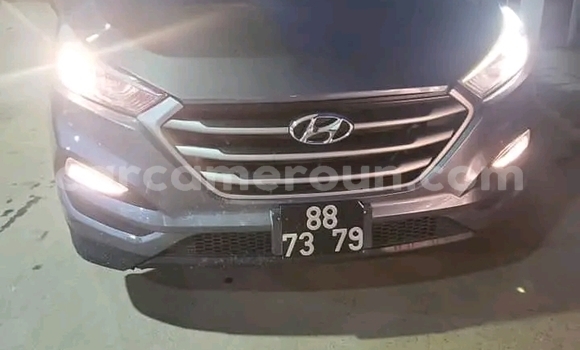 Acheter Neuf Voiture Hyundai Tucson Bleu à Douala, Littoral Cameroon Acheter Neuf Voiture Hyundai Tucson Bleu à Douala, Littoral Cameroon