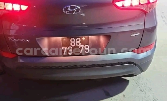 Acheter Neuf Voiture Hyundai Tucson Bleu à Douala, Littoral Cameroon Acheter Neuf Voiture Hyundai Tucson Bleu à Douala, Littoral Cameroon