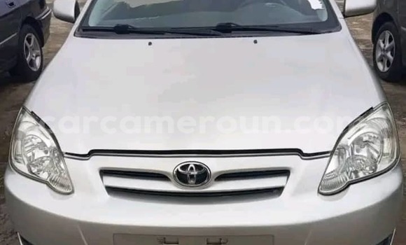 Sayi Na hannu Toyota Corolla Azurfa Mota in Douala a Ƙasar Kamaru