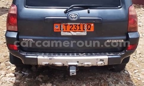 Sayi Na hannu Toyota 4Runner Blue Mota in Douala a Ƙasar Kamaru
