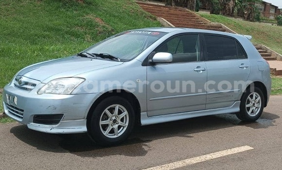 Sayi Na hannu Toyota Allex Blue Mota in Yaounde a Babban Kamaru