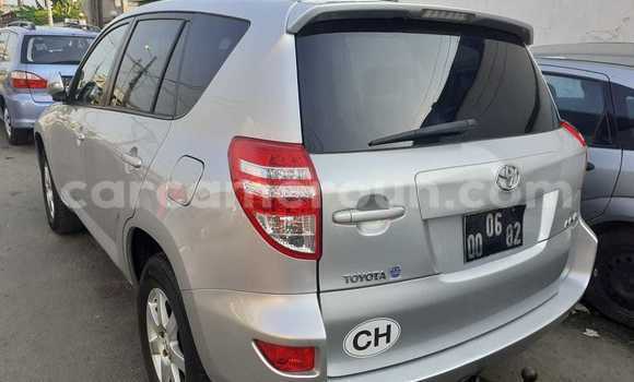 Acheter Occasion Voiture Toyota RAV4 Gris à Douala, Littoral Cameroon Acheter Occasion Voiture Toyota RAV4 Gris à Douala, Littoral Cameroon