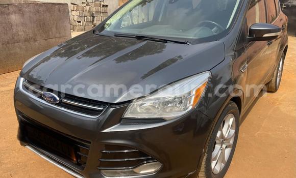 Buy Used Ford Escape Silver Car in Yaounde in Central Cameroon Buy Used Ford Escape Silver Car in Yaounde in Central Cameroon