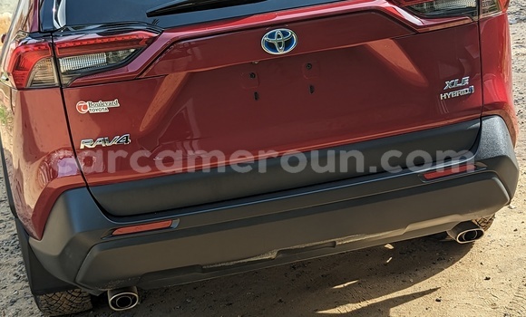 Buy Import Toyota RAV4 Red Car in Douala in Littoral Cameroon Buy Import Toyota RAV4 Red Car in Douala in Littoral Cameroon
