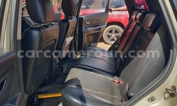 Buy Used Hyundai Tucson Silver Car in Yaounde in Central Cameroon Buy Used Hyundai Tucson Silver Car in Yaounde in Central Cameroon
