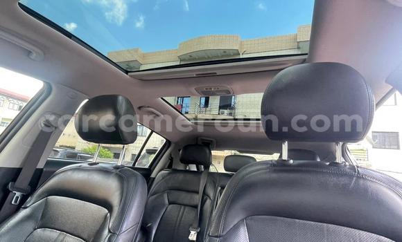 Sayi Na hannu Kia Sportage Black Mota in Douala a Ƙasar Kamaru Sayi Na hannu Kia Sportage Black Mota in Douala a Ƙasar Kamaru