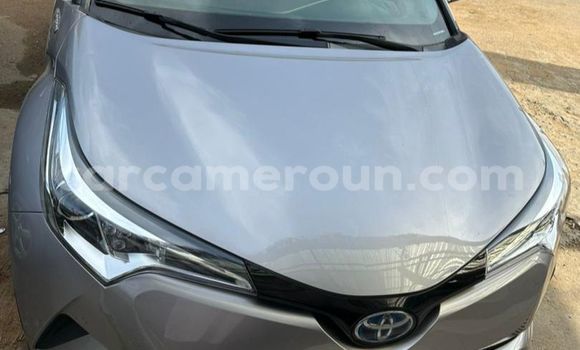 Acheter Import Voiture Toyota C-HR Gris à Douala, Littoral Cameroon