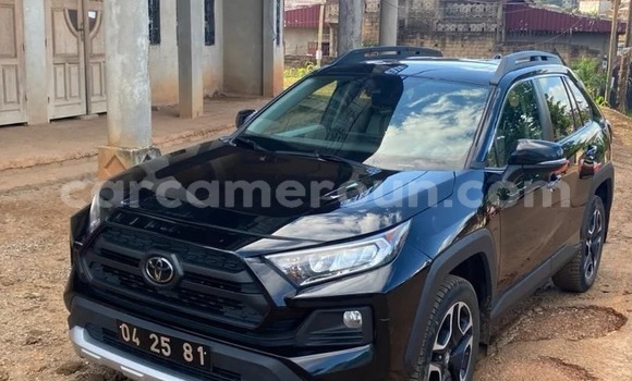 Buy New Toyota RAV4 Black Car in Yaounde in Central Cameroon