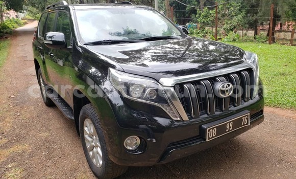 Buy Used Toyota Prado Black Car in Yaounde in Central Cameroon Buy Used Toyota Prado Black Car in Yaounde in Central Cameroon