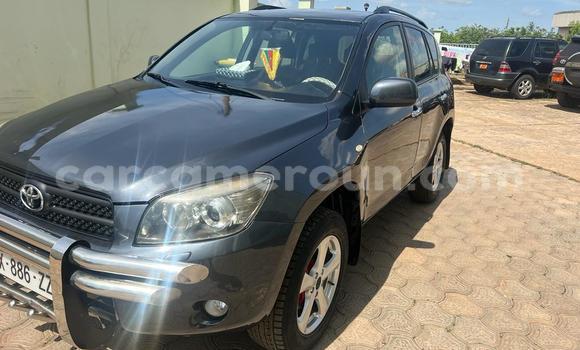 Buy Used Toyota RAV4 Silver Car in Yaounde in Central Cameroon