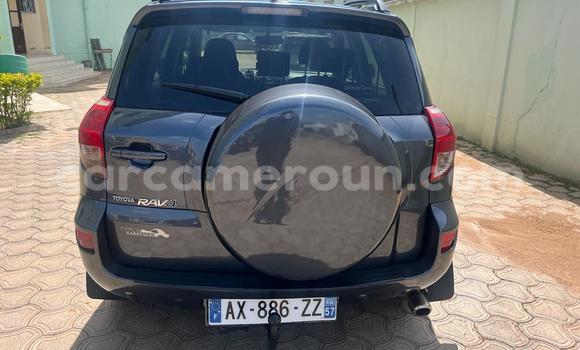 Acheter Occasion Voiture Toyota RAV4 Gris à Yaoundé, Central Cameroon Acheter Occasion Voiture Toyota RAV4 Gris à Yaoundé, Central Cameroon