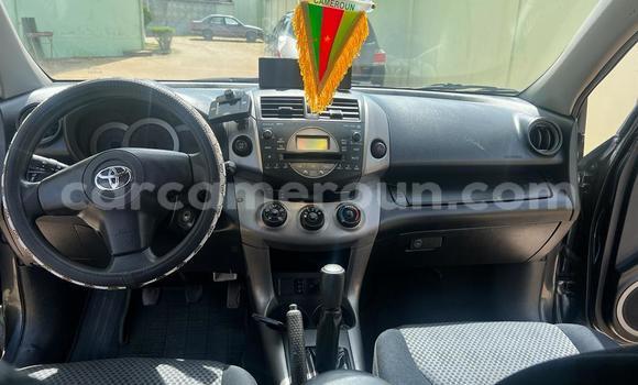 Acheter Occasion Voiture Toyota RAV4 Gris à Yaoundé, Central Cameroon Acheter Occasion Voiture Toyota RAV4 Gris à Yaoundé, Central Cameroon