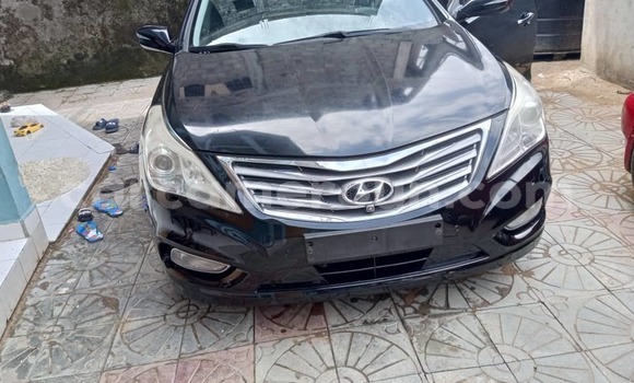 Buy Import Hyundai Grandeur Black Car in Douala in Littoral Cameroon