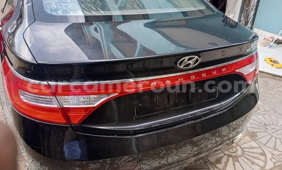 Buy Import Hyundai Grandeur Black Car in Douala in Littoral Cameroon Buy Import Hyundai Grandeur Black Car in Douala in Littoral Cameroon