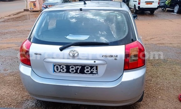Acheter Occasion Voiture Toyota Corolla Gris à Yaoundé, Central Cameroon Acheter Occasion Voiture Toyota Corolla Gris à Yaoundé, Central Cameroon
