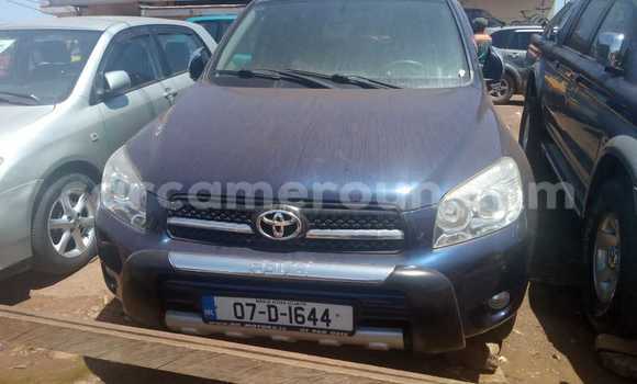 Buy Used Toyota RAV4 Blue Car in Yaounde in Central Cameroon