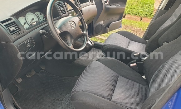 Sayi Na hannu Toyota Spacio Blue Mota in Yaounde a Babban Kamaru Sayi Na hannu Toyota Spacio Blue Mota in Yaounde a Babban Kamaru