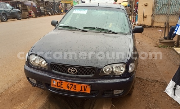 Buy Used Toyota Corolla Blue Car in Yaounde in Central Cameroon