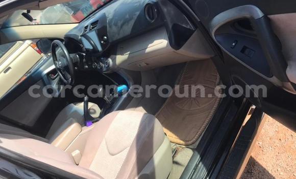 Buy Used Toyota RAV4 Black Car in Yaounde in Central Cameroon Buy Used Toyota RAV4 Black Car in Yaounde in Central Cameroon
