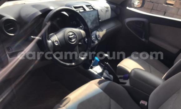 Buy Used Toyota RAV4 Black Car in Yaounde in Central Cameroon Buy Used Toyota RAV4 Black Car in Yaounde in Central Cameroon