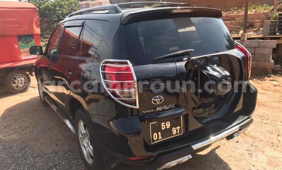 Buy Used Toyota RAV4 Black Car in Yaounde in Central Cameroon Buy Used Toyota RAV4 Black Car in Yaounde in Central Cameroon