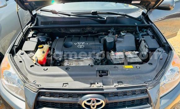 Buy Used Toyota RAV4 Silver Car in Yaounde in Central Cameroon Buy Used Toyota RAV4 Silver Car in Yaounde in Central Cameroon