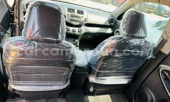 Buy Used Toyota RAV4 Silver Car in Yaounde in Central Cameroon Buy Used Toyota RAV4 Silver Car in Yaounde in Central Cameroon