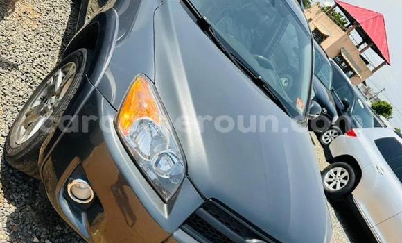 Buy Used Toyota RAV4 Silver Car in Yaounde in Central Cameroon Buy Used Toyota RAV4 Silver Car in Yaounde in Central Cameroon