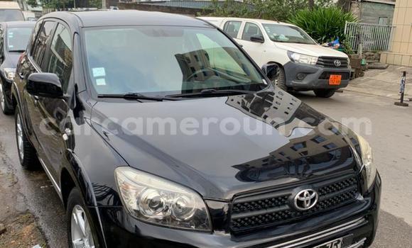 Buy New Toyota RAV4 Black Car in Yaounde in Central Cameroon Buy New Toyota RAV4 Black Car in Yaounde in Central Cameroon