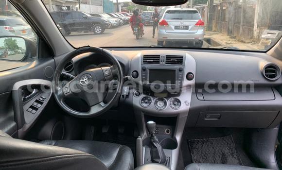 Buy New Toyota RAV4 Black Car in Yaounde in Central Cameroon Buy New Toyota RAV4 Black Car in Yaounde in Central Cameroon