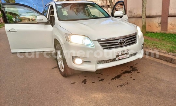 Buy Used Toyota Vanguard White Car in Yaounde in Central Cameroon Buy Used Toyota Vanguard White Car in Yaounde in Central Cameroon
