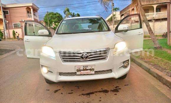 Buy Used Toyota Vanguard White Car in Yaounde in Central Cameroon Buy Used Toyota Vanguard White Car in Yaounde in Central Cameroon