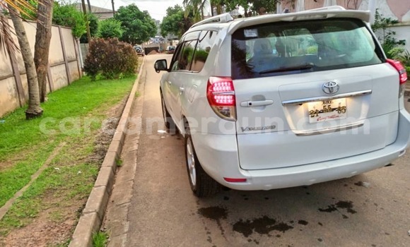 Buy Used Toyota Vanguard White Car in Yaounde in Central Cameroon Buy Used Toyota Vanguard White Car in Yaounde in Central Cameroon