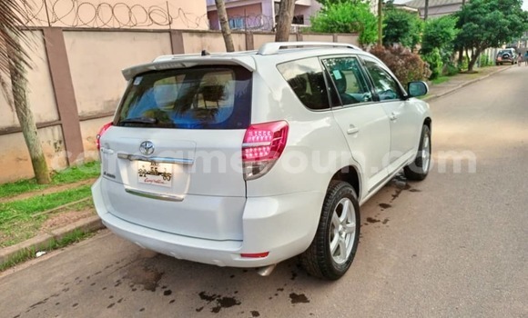 Buy Used Toyota Vanguard White Car in Yaounde in Central Cameroon Buy Used Toyota Vanguard White Car in Yaounde in Central Cameroon