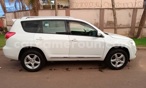 Buy Used Toyota Vanguard White Car in Yaounde in Central Cameroon Buy Used Toyota Vanguard White Car in Yaounde in Central Cameroon
