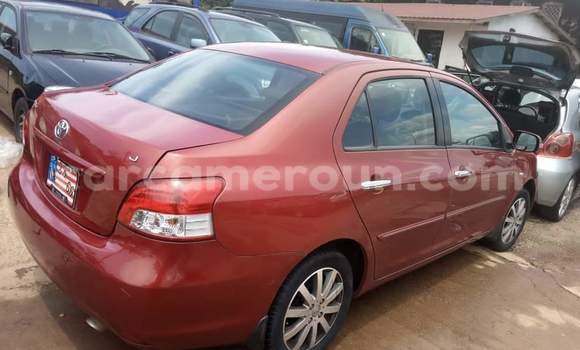 Buy Used Toyota Yaris Ativ Red Car in Yaounde in Central Cameroon Buy Used Toyota Yaris Ativ Red Car in Yaounde in Central Cameroon