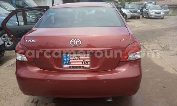 Buy Used Toyota Yaris Ativ Red Car in Yaounde in Central Cameroon Buy Used Toyota Yaris Ativ Red Car in Yaounde in Central Cameroon