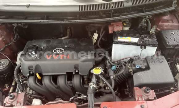 Buy Used Toyota Yaris Ativ Red Car in Yaounde in Central Cameroon Buy Used Toyota Yaris Ativ Red Car in Yaounde in Central Cameroon