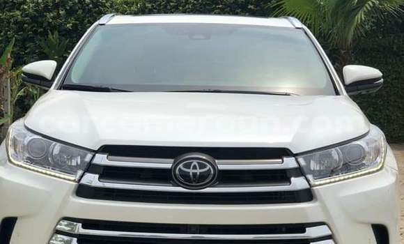 Buy Used Toyota Highlander White Car in Yaounde in Central Cameroon