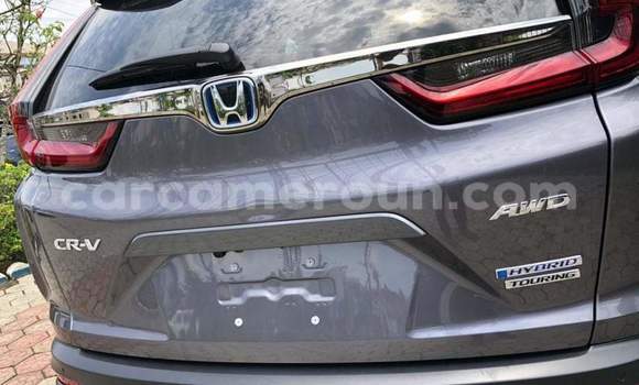 Acheter Occasion Voiture Honda CR–V Gris à Yaoundé, Central Cameroon Acheter Occasion Voiture Honda CR–V Gris à Yaoundé, Central Cameroon