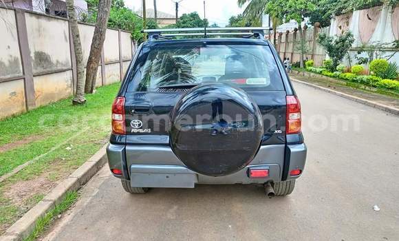 Acheter Occasion Voiture Toyota RAV4 Noir à Yaoundé, Central Cameroon Acheter Occasion Voiture Toyota RAV4 Noir à Yaoundé, Central Cameroon