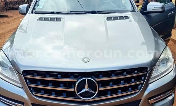 Buy Used Mercedes‒Benz ML–Class Silver Car in Yaounde in Central Cameroon