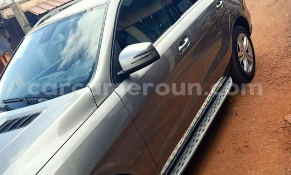 Buy Used Mercedes‒Benz ML–Class Silver Car in Yaounde in Central Cameroon Buy Used Mercedes‒Benz ML–Class Silver Car in Yaounde in Central Cameroon