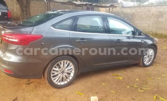 Sayi Na hannu Ford Focus Azurfa Mota in Yaounde a Babban Kamaru Sayi Na hannu Ford Focus Azurfa Mota in Yaounde a Babban Kamaru