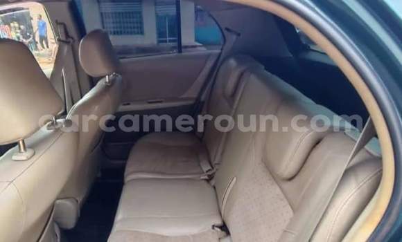 Buy Used Toyota Yaris Green Car in Yaounde in Central Cameroon Buy Used Toyota Yaris Green Car in Yaounde in Central Cameroon