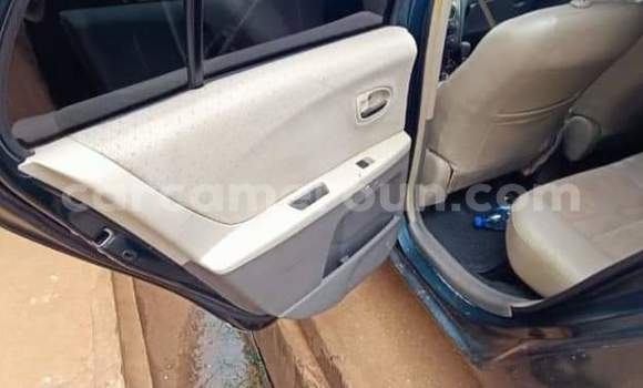Buy Used Toyota Yaris Green Car in Yaounde in Central Cameroon Buy Used Toyota Yaris Green Car in Yaounde in Central Cameroon