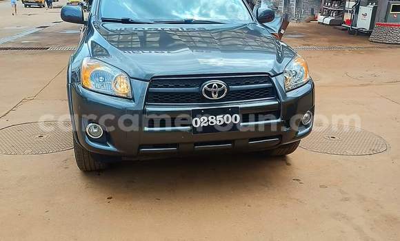 Acheter Occasion Voiture Toyota RAV4 Marron à Yaoundé, Central Cameroon