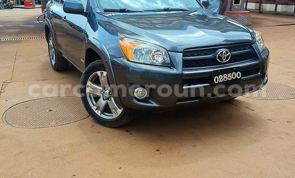 Buy Used Toyota RAV4 Brown Car in Yaounde in Central Cameroon Buy Used Toyota RAV4 Brown Car in Yaounde in Central Cameroon